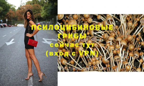 ГАЛЛЮЦИНОГЕННЫЕ ГРИБЫ Алексеевка