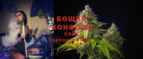 твердый Протвино