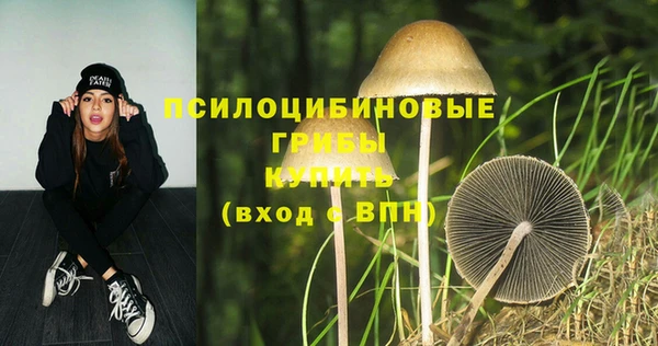 ПСИЛОЦИБИНОВЫЕ ГРИБЫ Абинск