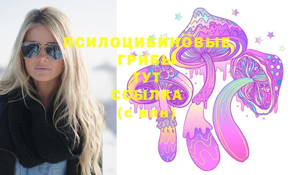 ГАЛЛЮЦИНОГЕННЫЕ ГРИБЫ Алексеевка