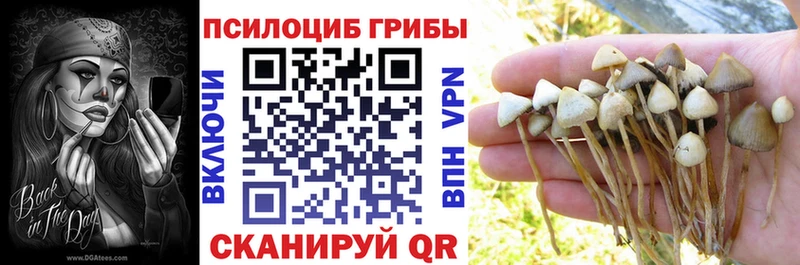 Псилоцибиновые грибы ЛСД  Черепаново 